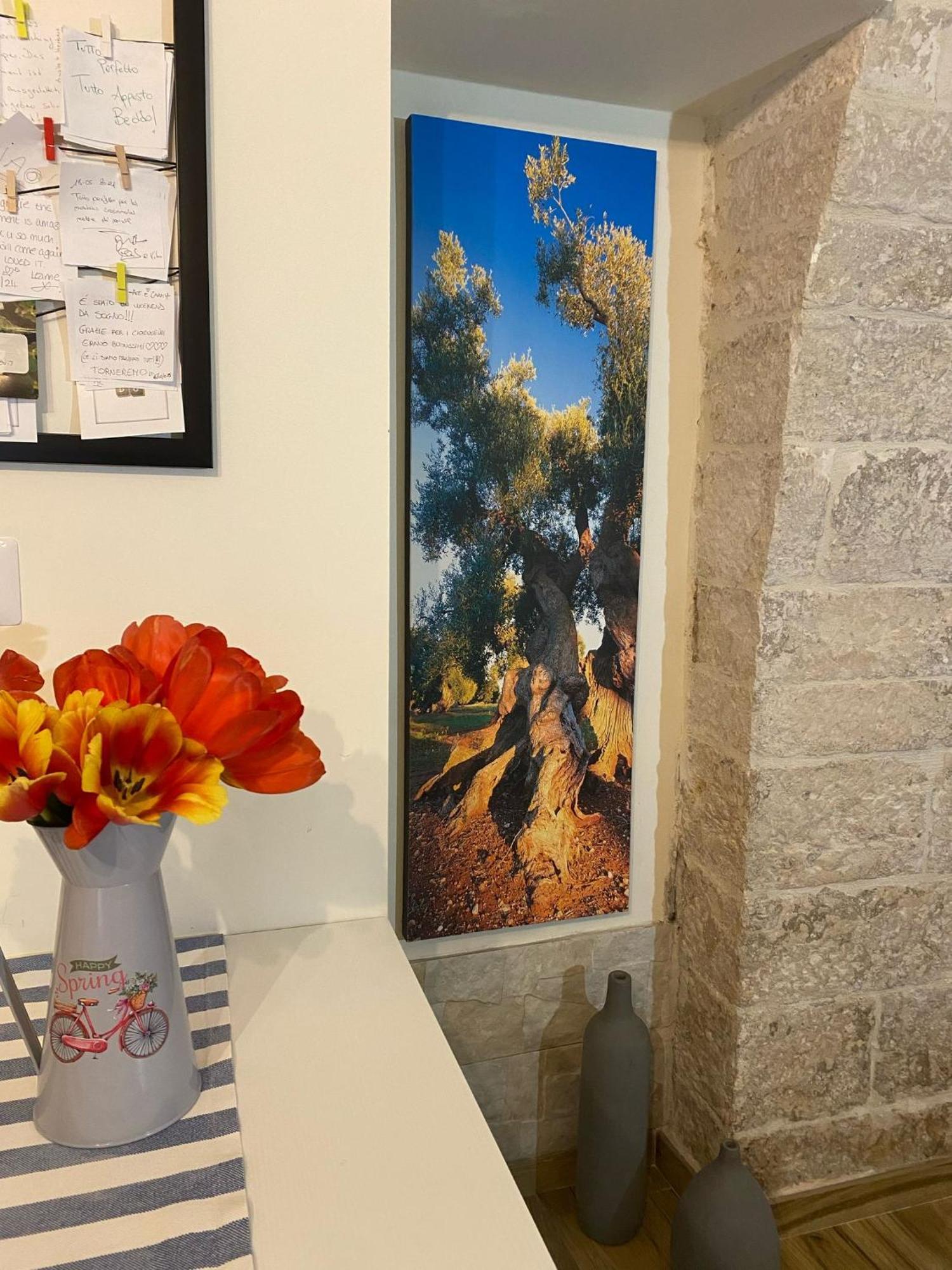 Ca De Mess Bed & Breakfast Giovinazzo Exterior foto